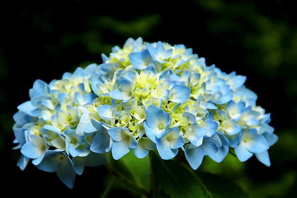 36781D4E-6385-4E18-939F-A07C7DDD50C9