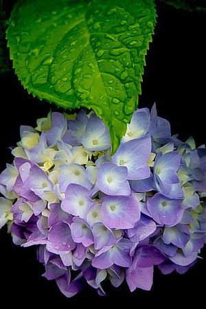 _MG_5280-edit